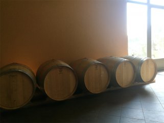 代理什么法国红酒的小蝌蚪短视频APP适合